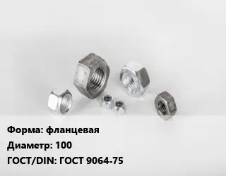 Гайка фланцевая D=100 ГОСТ 9064-75
